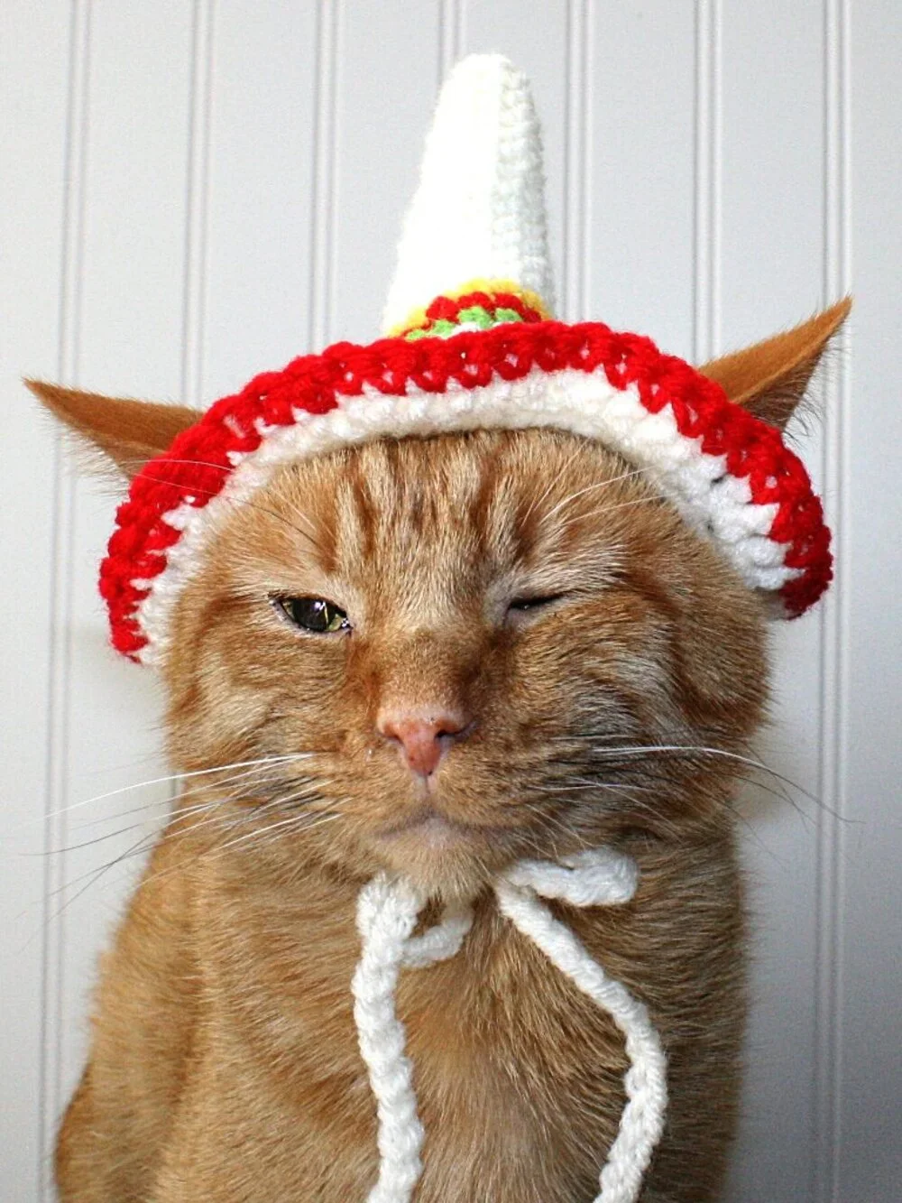 HAND CRAFTED Crochet Sombrero Cinco De Mayo Cat Hat Costume Photo Prop